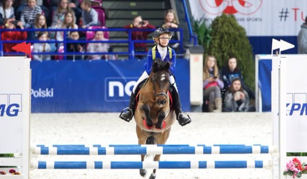 W ilu % kochasz konie