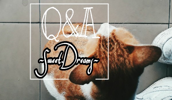 Q&A ~Sweet.Dreams~