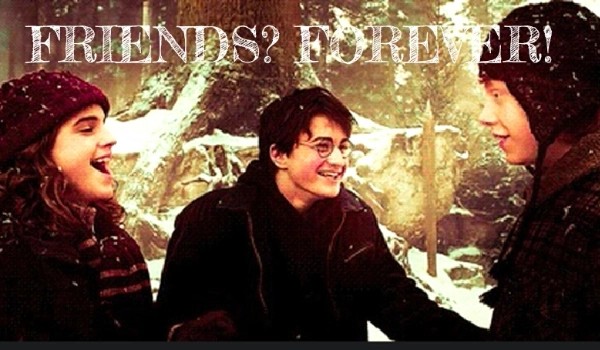Friends? Forever! ~12