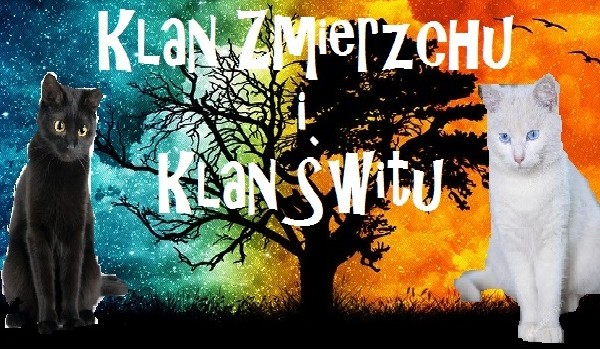 Klan Zmierzchu i Klan Świtu #16
