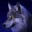 Wolf_1234