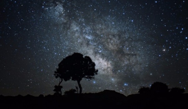 Oceniam profil @VinnyTheKiller