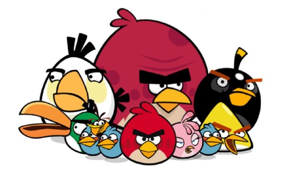Czy rozpoznasz ptaki z Angry Birds w prawdziwym życiu?