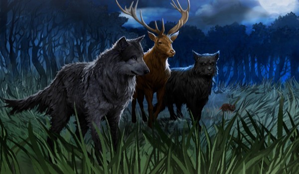 Zakon Feniksa, Huncwoci i Ja #2