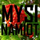 Mysi_Namiot