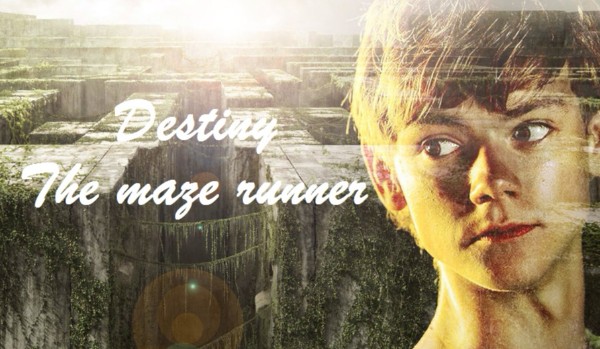 Destiny – The maze runner #8