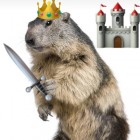 MARMOT_KING