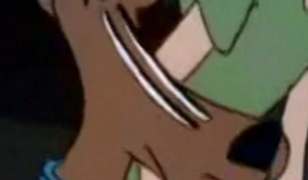 Pytania do dmnie :D #5