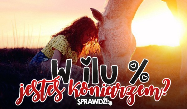 W ilu % jesteś koniarzem?