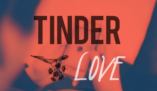 Tinder Love #18 [END]