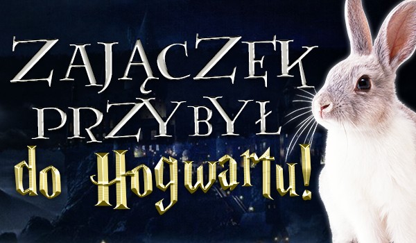 Zajączek przybył do Hogwartu!