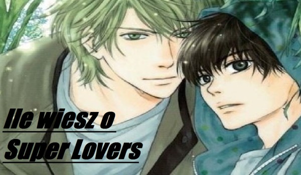 Ile wiesz o Super Lovers ?