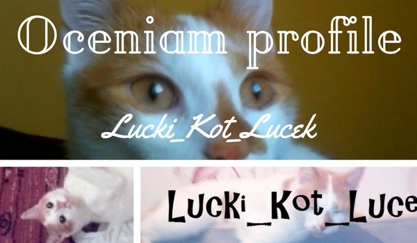 Oceniam profile – @Lucki_Kot_Lucek
