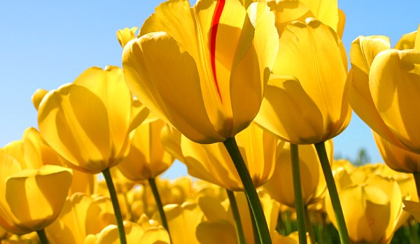 Sprawdz czy jesteś popularny