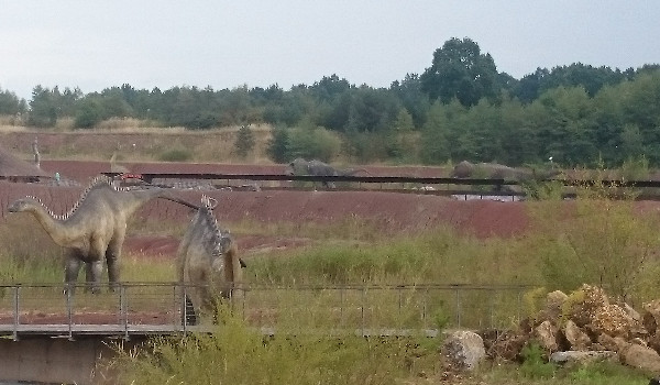 gdzie będziesz pracawać