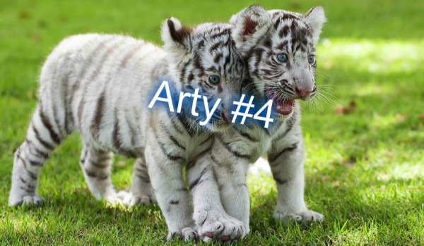 Arty #4 Dla @Tighera16