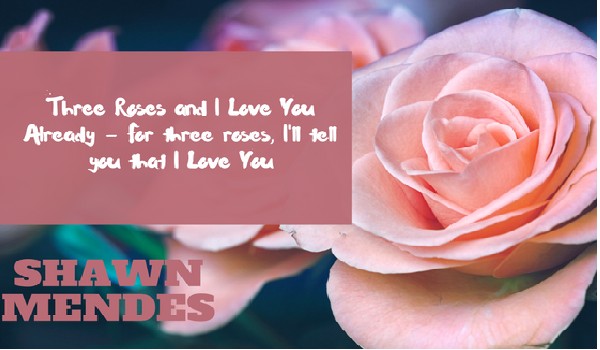 Three Roses and I Love You Already – For three roses, I’ll tell you that I love you #Prolog