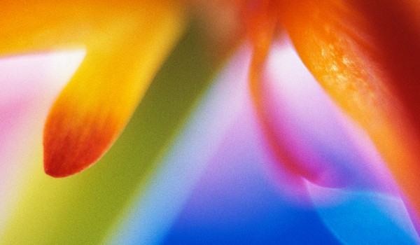 WIOSNA DLA 2 KLSISTUW