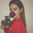 DalisRoses