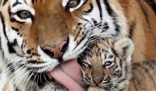 Piękne zdjęcia #16