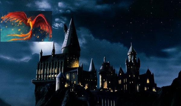 Strażniczka Hogwartu#13