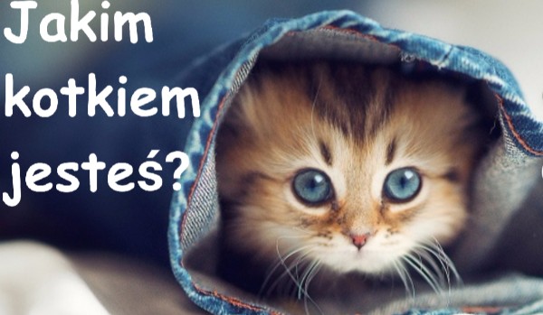 Jakim kotkiem jesteś