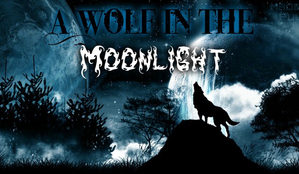 A Wolf In The Moonlight ~ Orphanage
