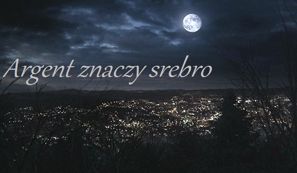 Argent znaczy srebro #17