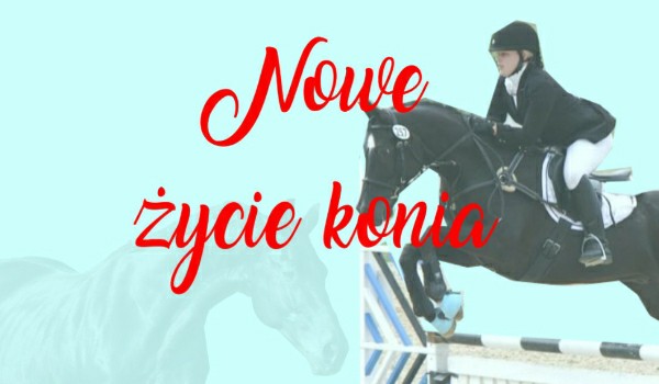 Nowe życie konia~3