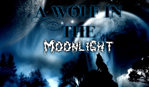 A Wolf In The Moonlight ~ Mysterious Boy