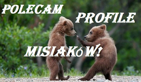 Oceniam i polecam profil – @Zetka22