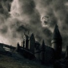 panipotter123XD