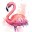 flamingoo