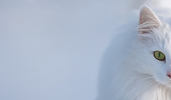 Pewien dziwny świat… #2