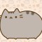 pusheen_cat2