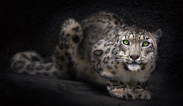 diabolik lovers księga 1 cz 2