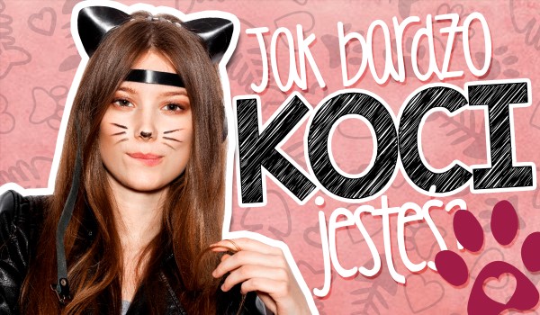 Jak bardzo koci jesteś?