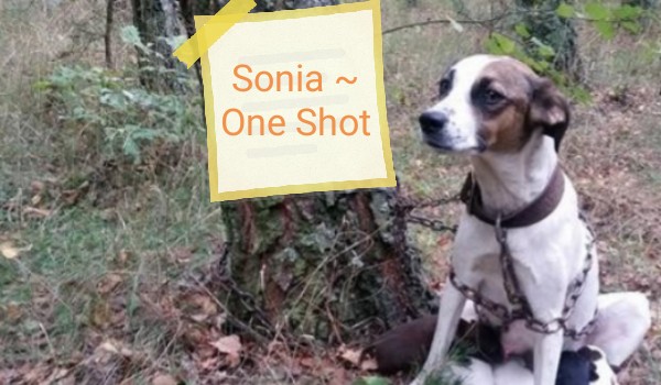 Sonia ~ One Shot
