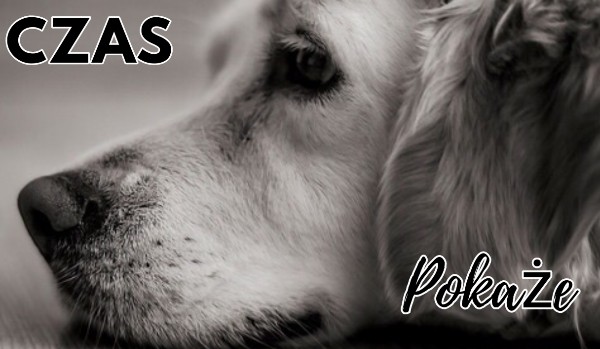 Czas Pokaże #2