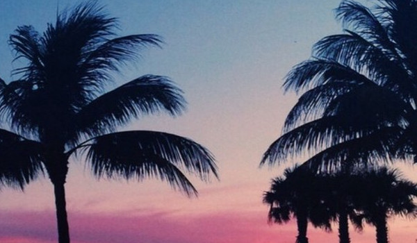 BlackQueen ~ROZDZIAŁ I