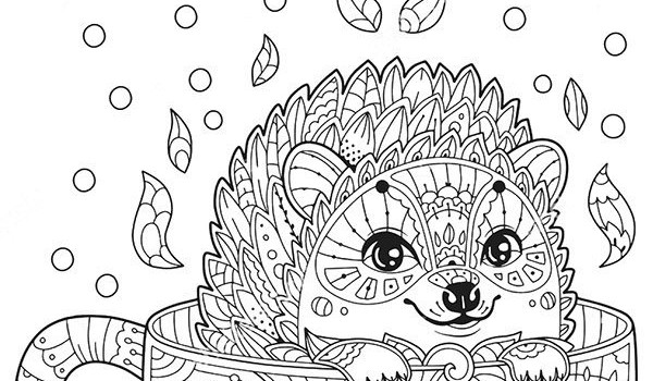 zdasz test dzielenia?