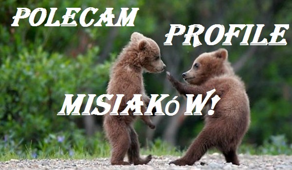 Oceniam i polecam profil – @kotek1