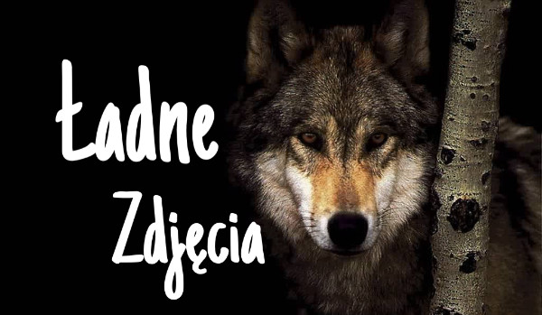 Ładne zdjęcia #8