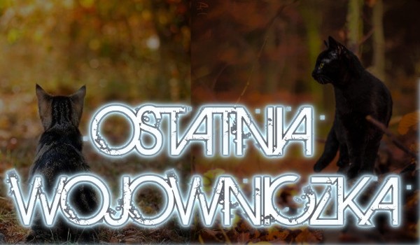 Ostatnia wojowniczka #4