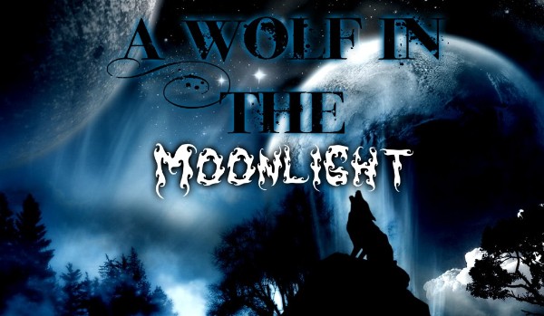 A Wolf In The Moonlight ~ Lonely