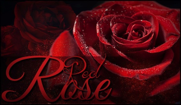 Red Rose #1