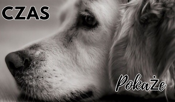 Czas Pokaże #3