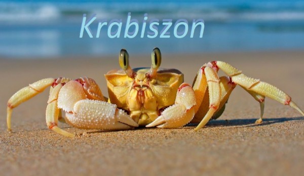 Krabiszon#6 – „Chłopak Nicole?”