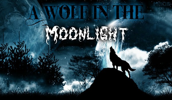 A Wolf In The Moonlight ~  What is going on here ?!