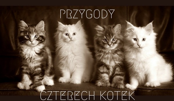 Przygody czterech kotek #1